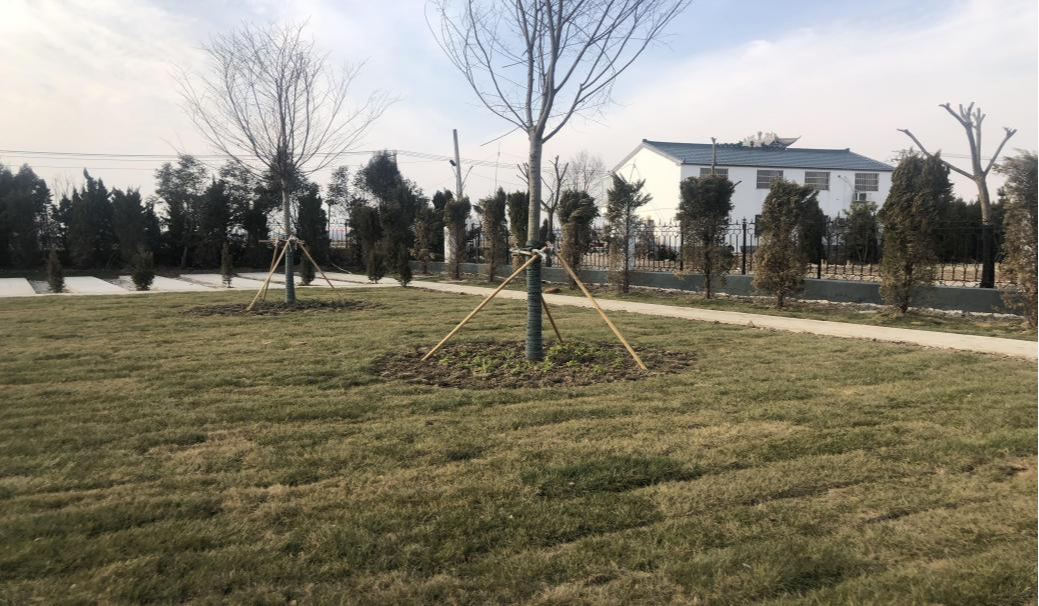 沭阳追思园李恒公墓园区图片