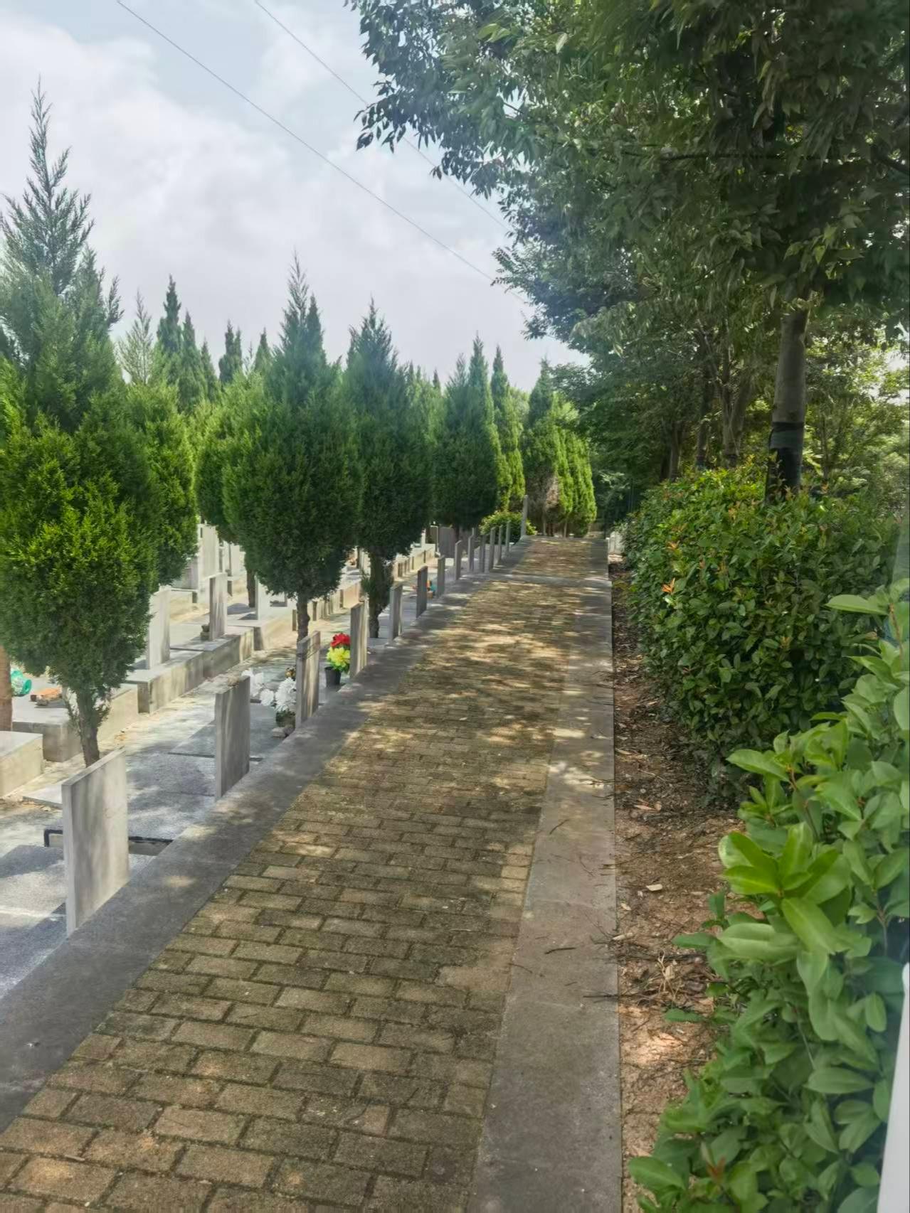 江苏省南京市溧水区花山公墓园区图片
