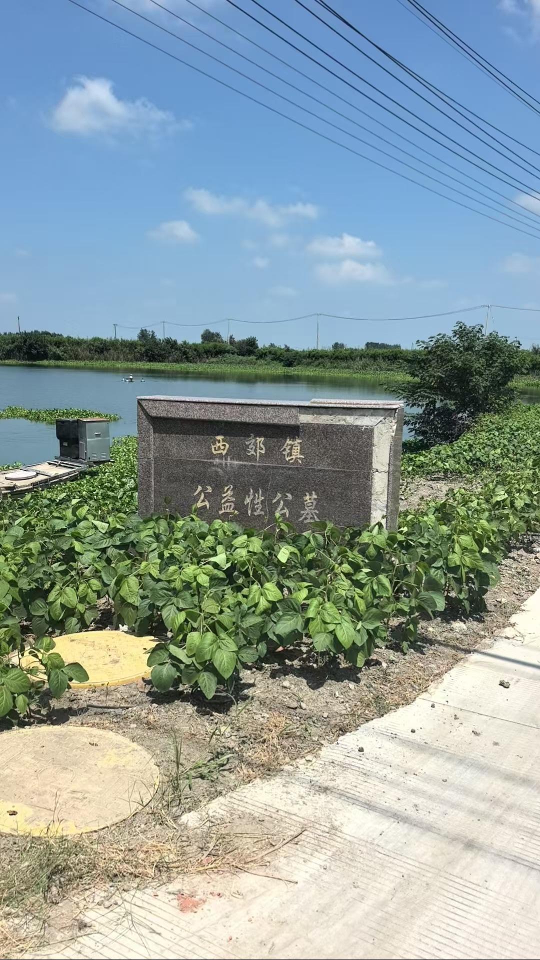 千垛镇公益性公墓陈杨墓区园区图片