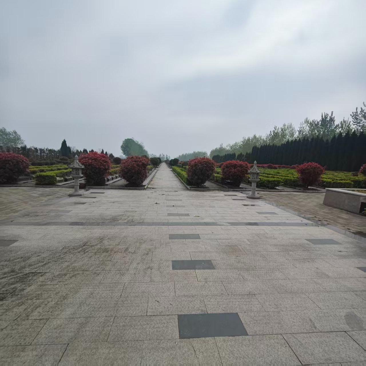 睢宁县李集镇濉河公墓园区图片