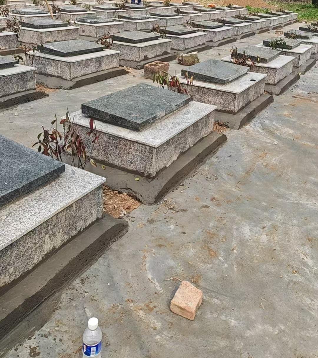 邳州市陈楼镇公益性公墓园区图片