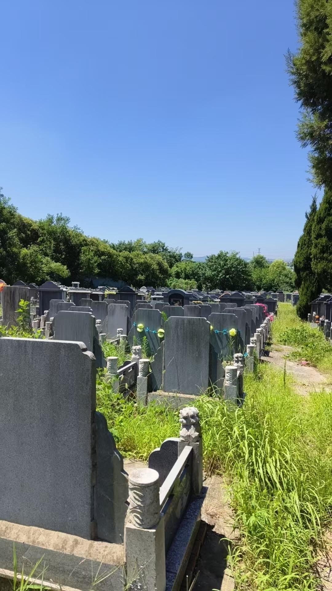 山西山公墓园区图片