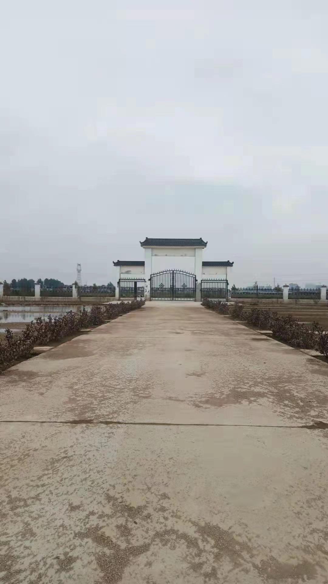 孙杏村镇公益性公墓园区图片
