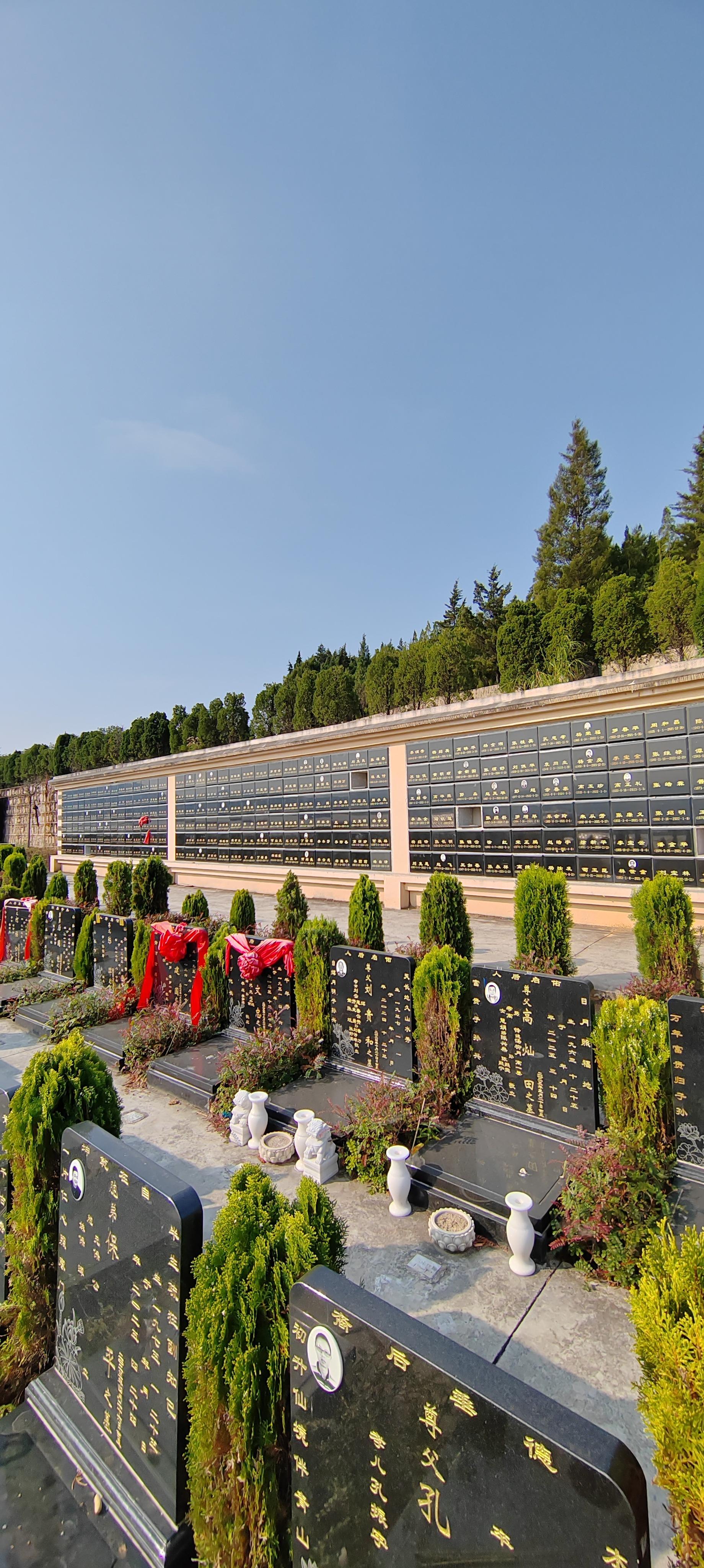 蒙自市公墓园区图片