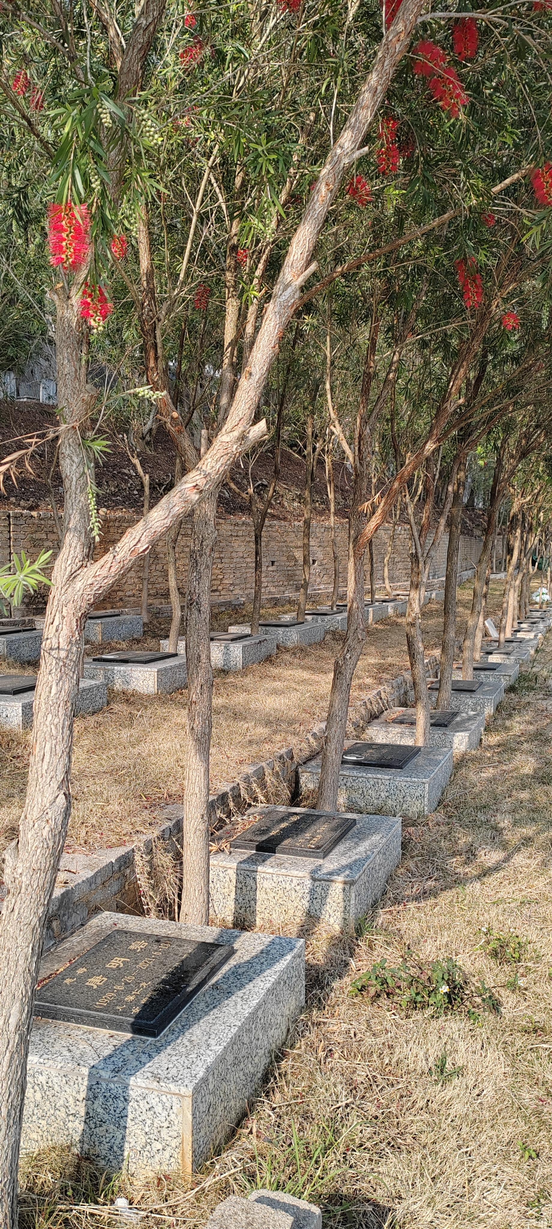 蒙自市公墓园区图片