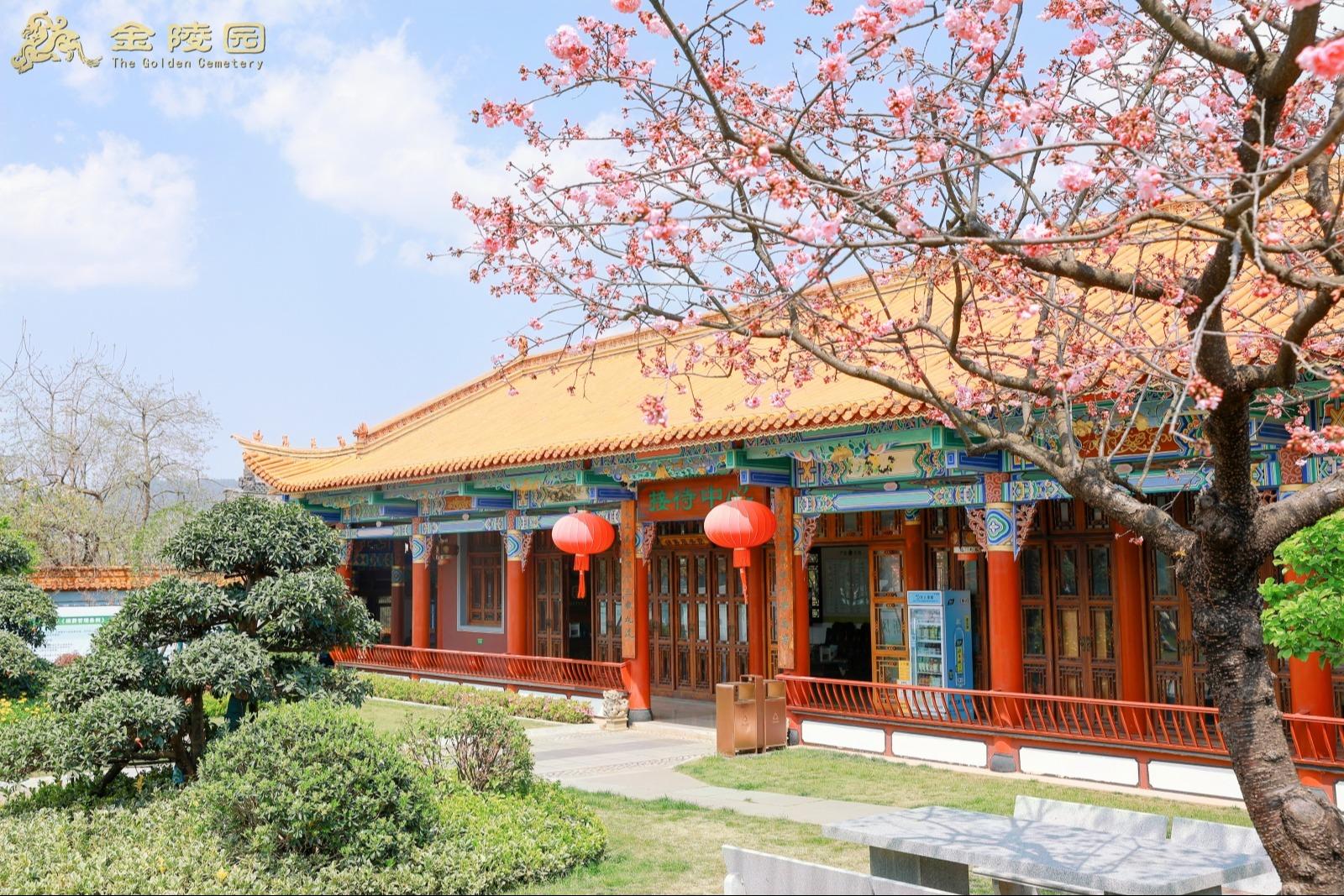 金陵公墓园区图片