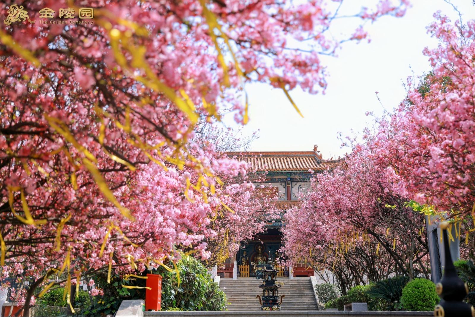 金陵公墓园区图片