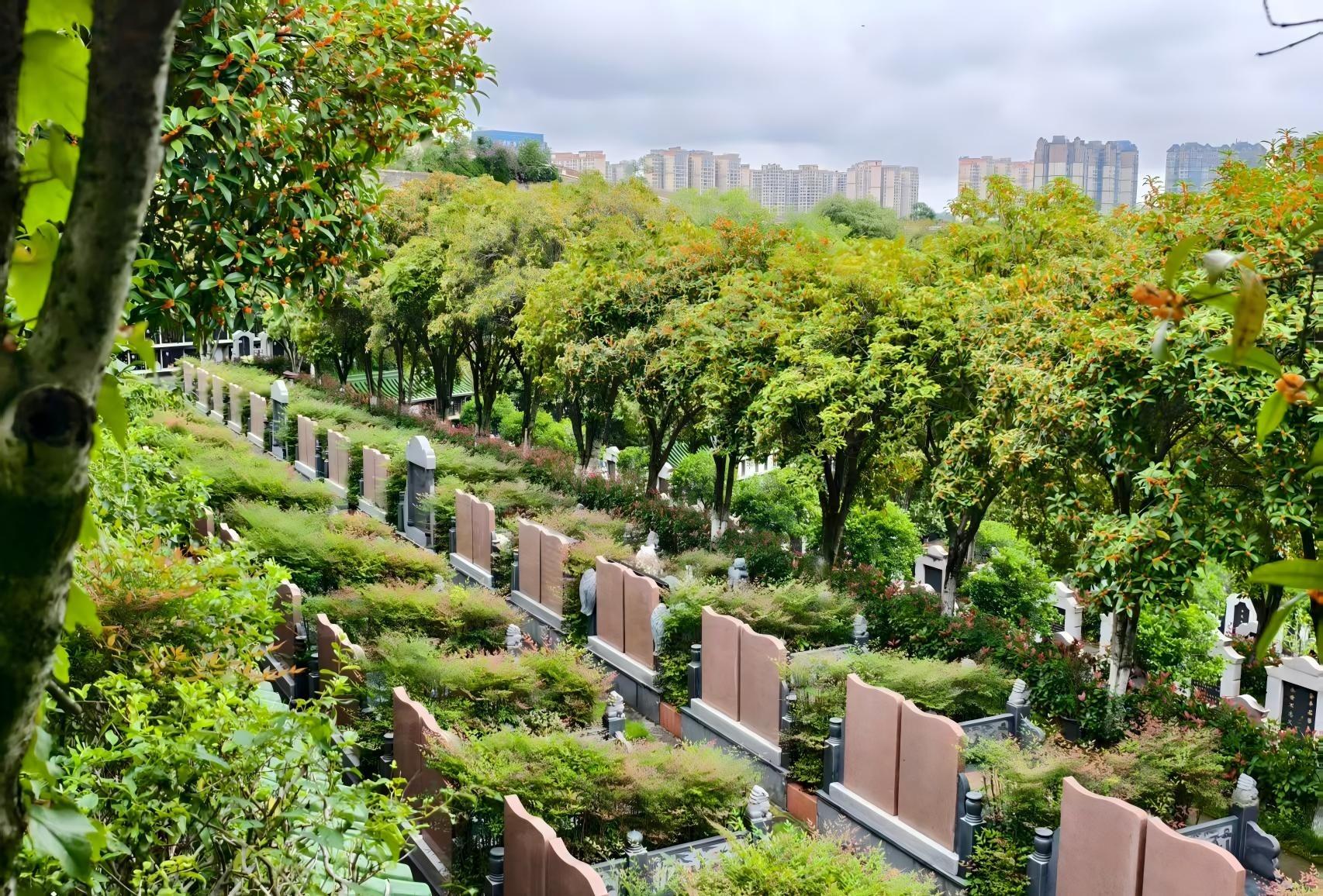 南充市栖乐灵园园区图片