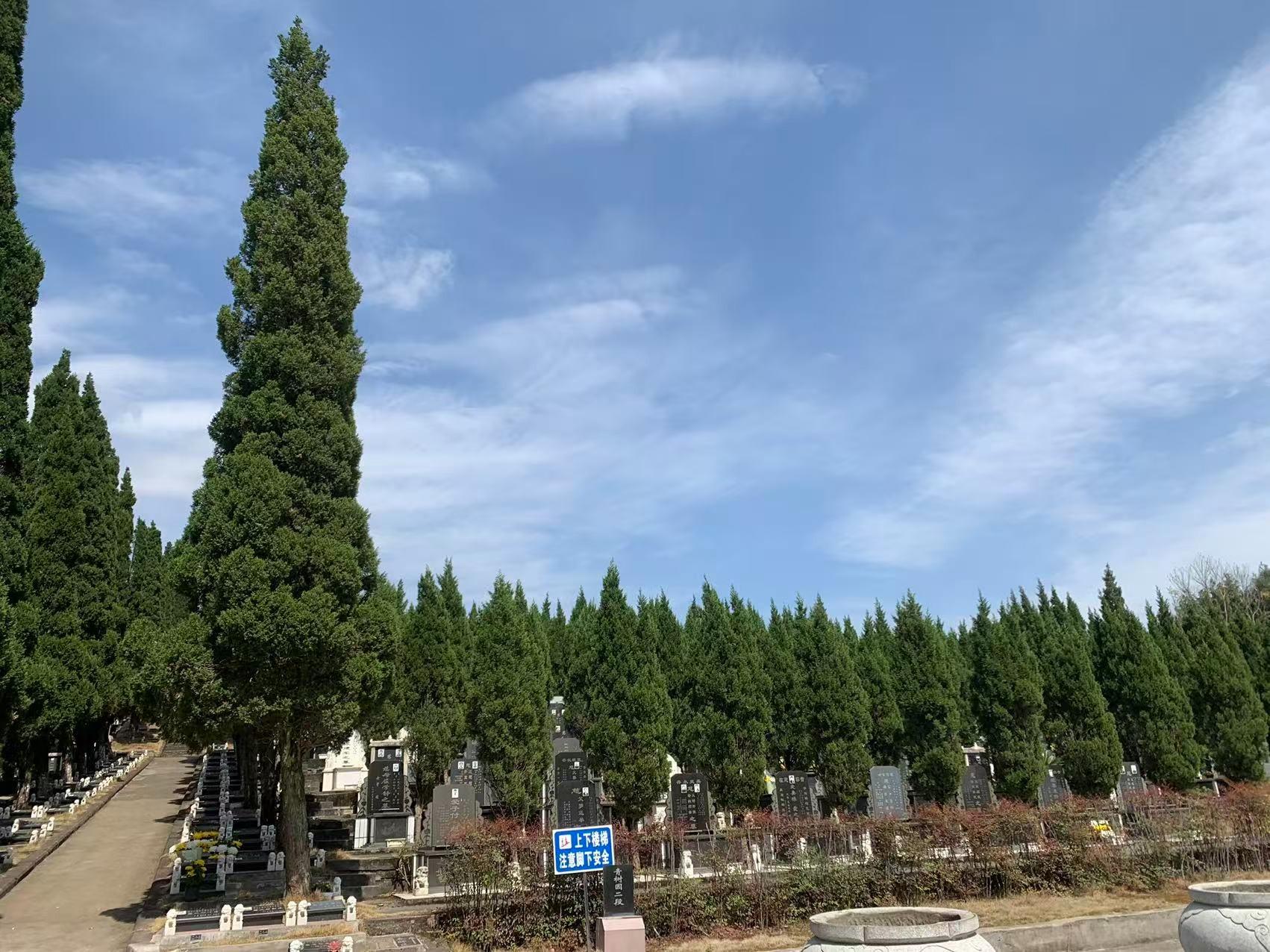简阳市孝子山陵园园区图片