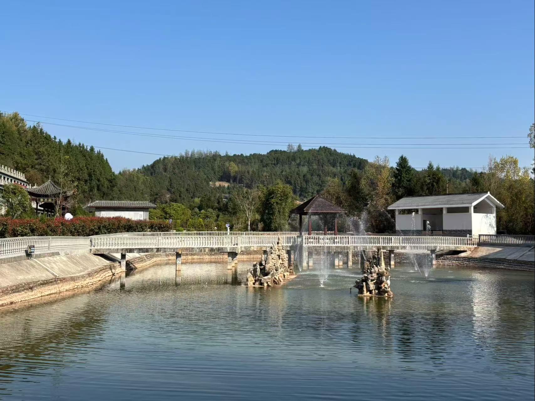 巴中市恩阳区金顶山公墓园区图片