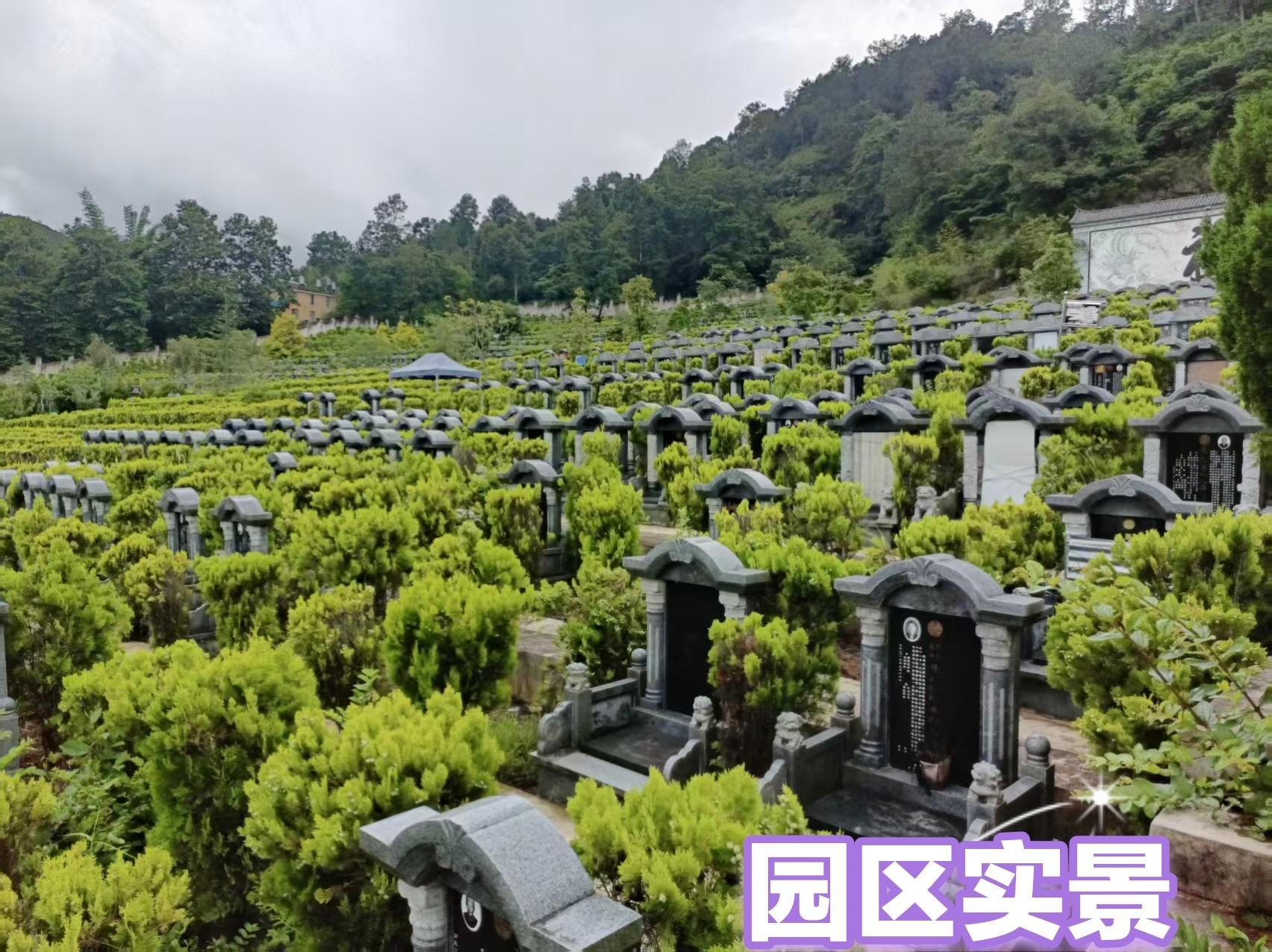 施甸县龙凤山公墓园区图片