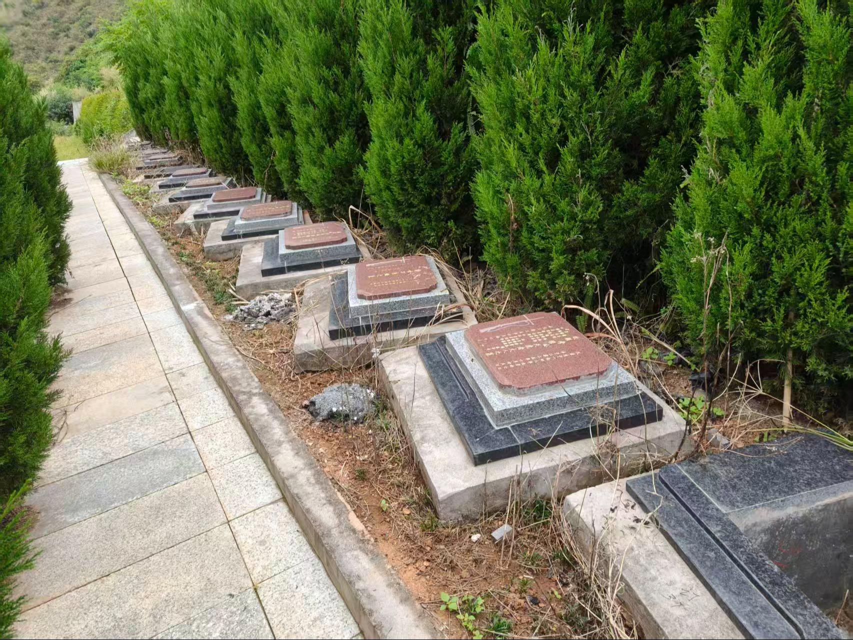 石棉县银台山公墓园区图片