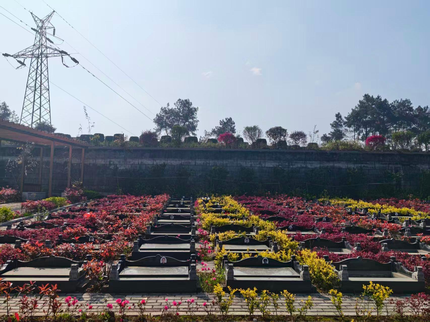五通桥区多宝寺公墓园区图片