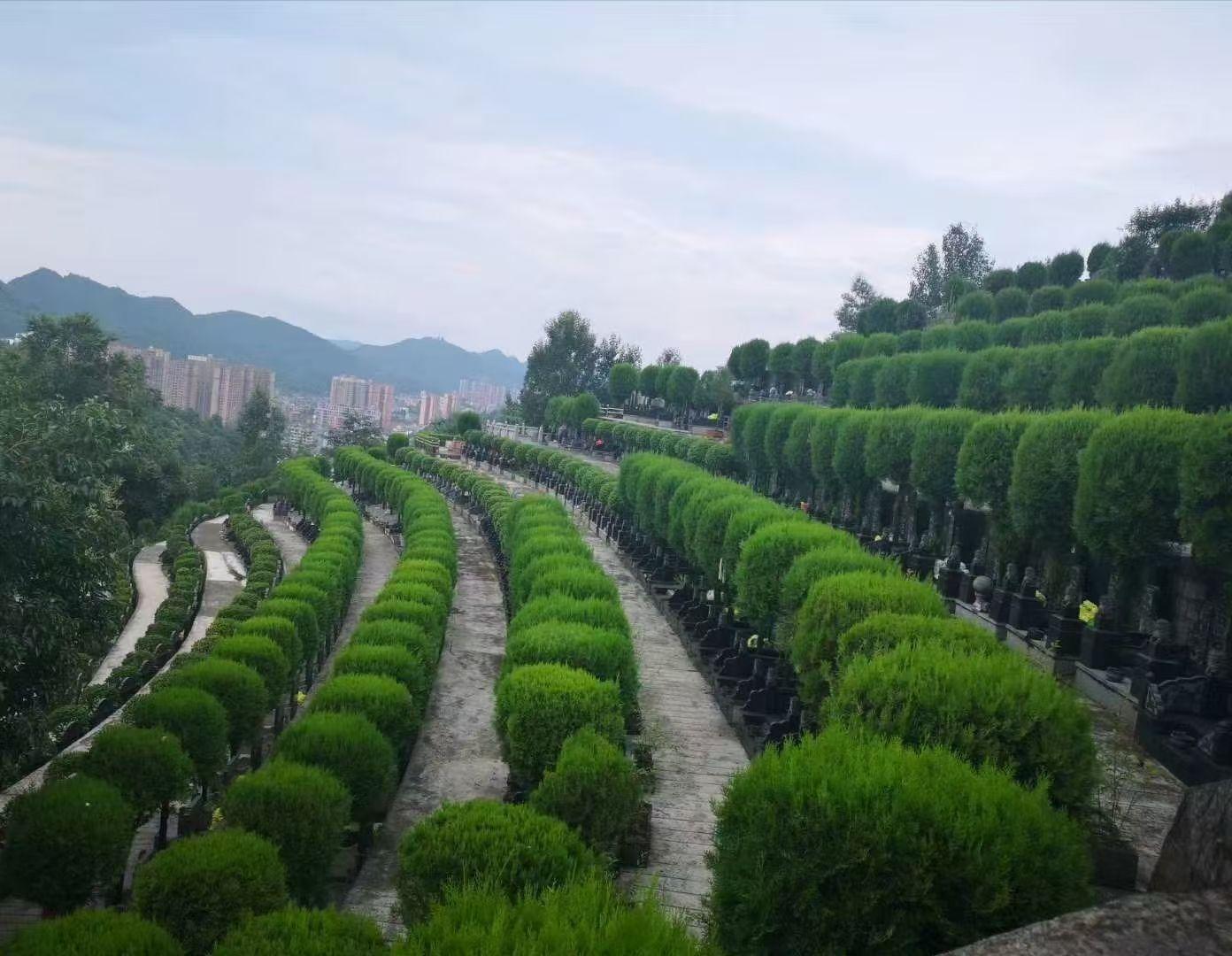 毕节阳山公墓有限公司园区图片
