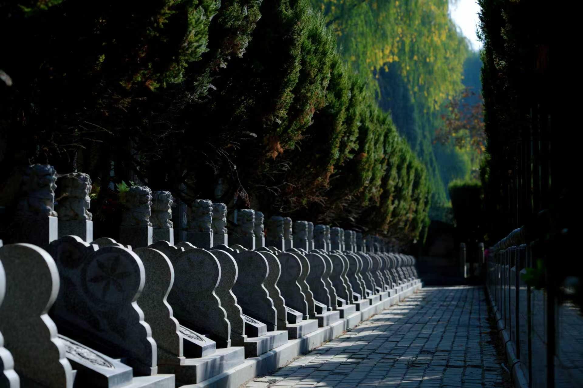 银川松鹤陵园园区图片