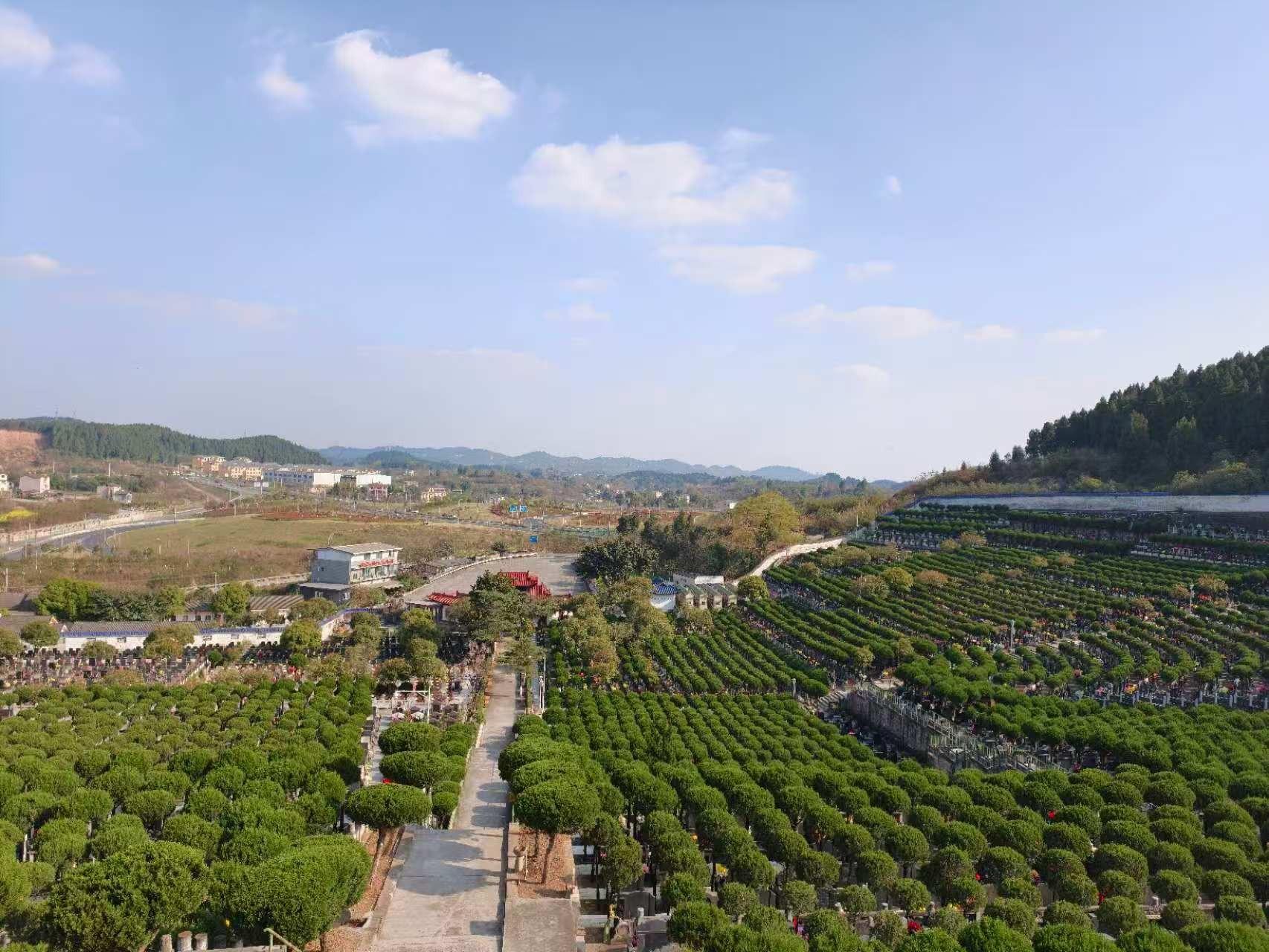 百芳公墓园区图片