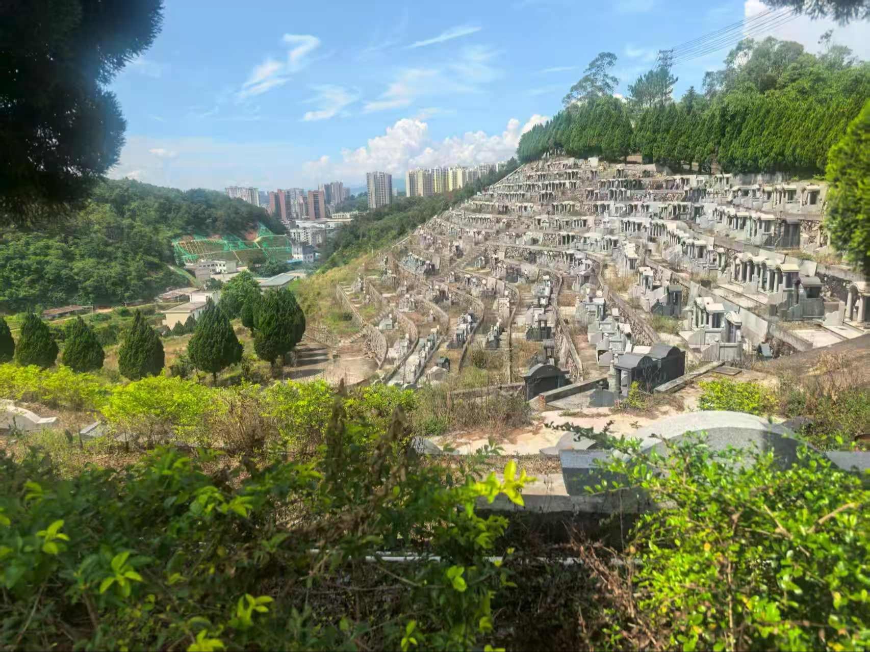 龙川县天乐陵园园区图片