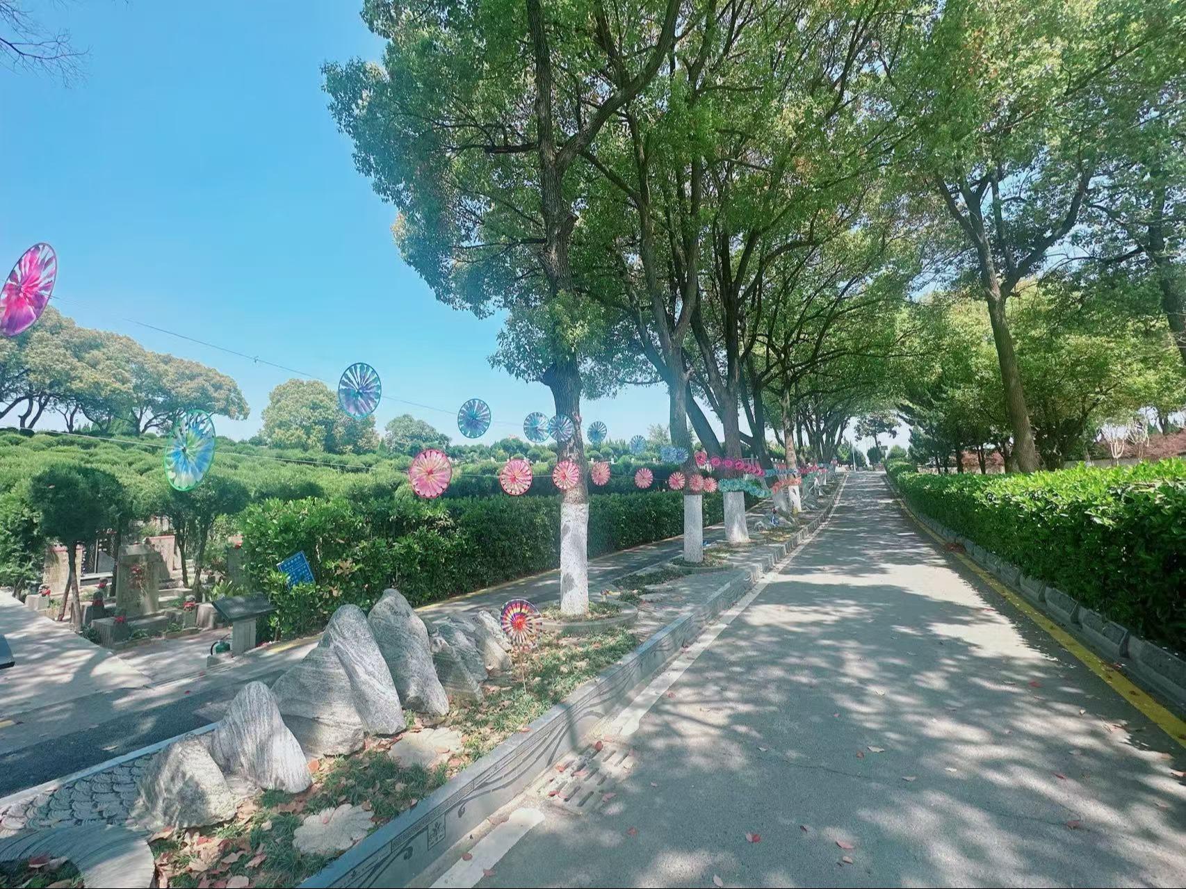 隐龙山墓园园区图片