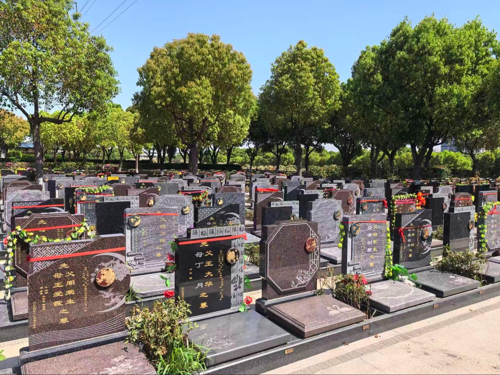 隐龙山墓园园区图片