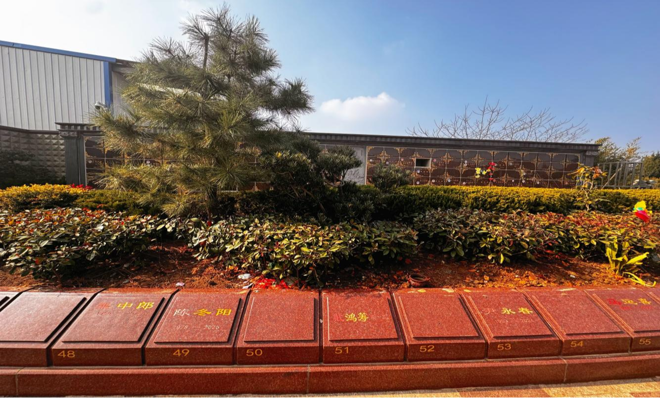 龙王山墓园园区图片
