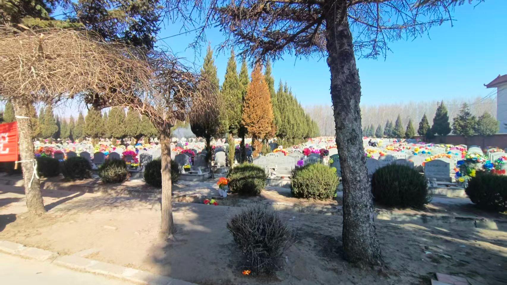 沈阳市辽中区八宝园公墓园区图片