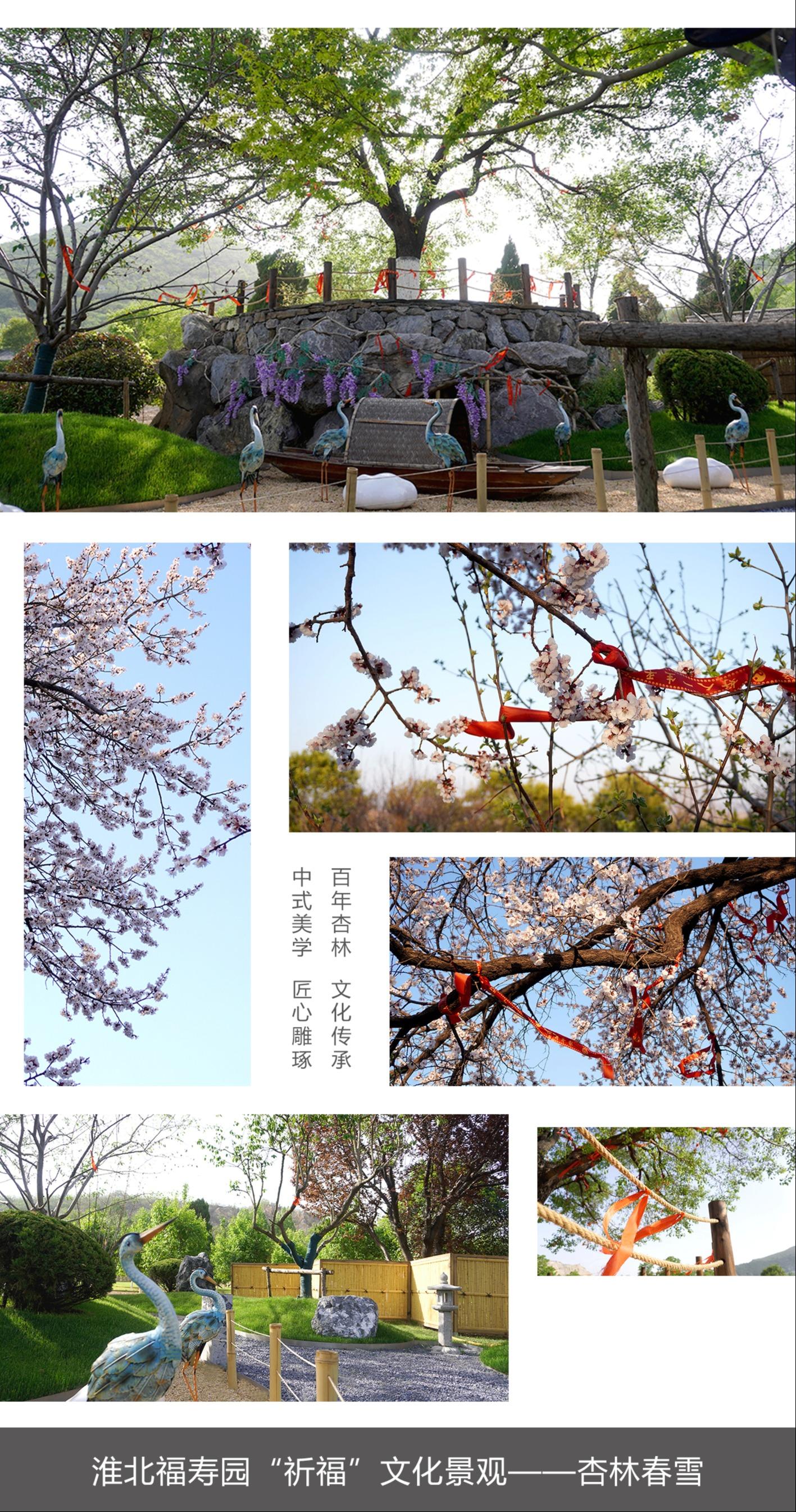 淮北福寿园纪念陵有限责任公司园区图片