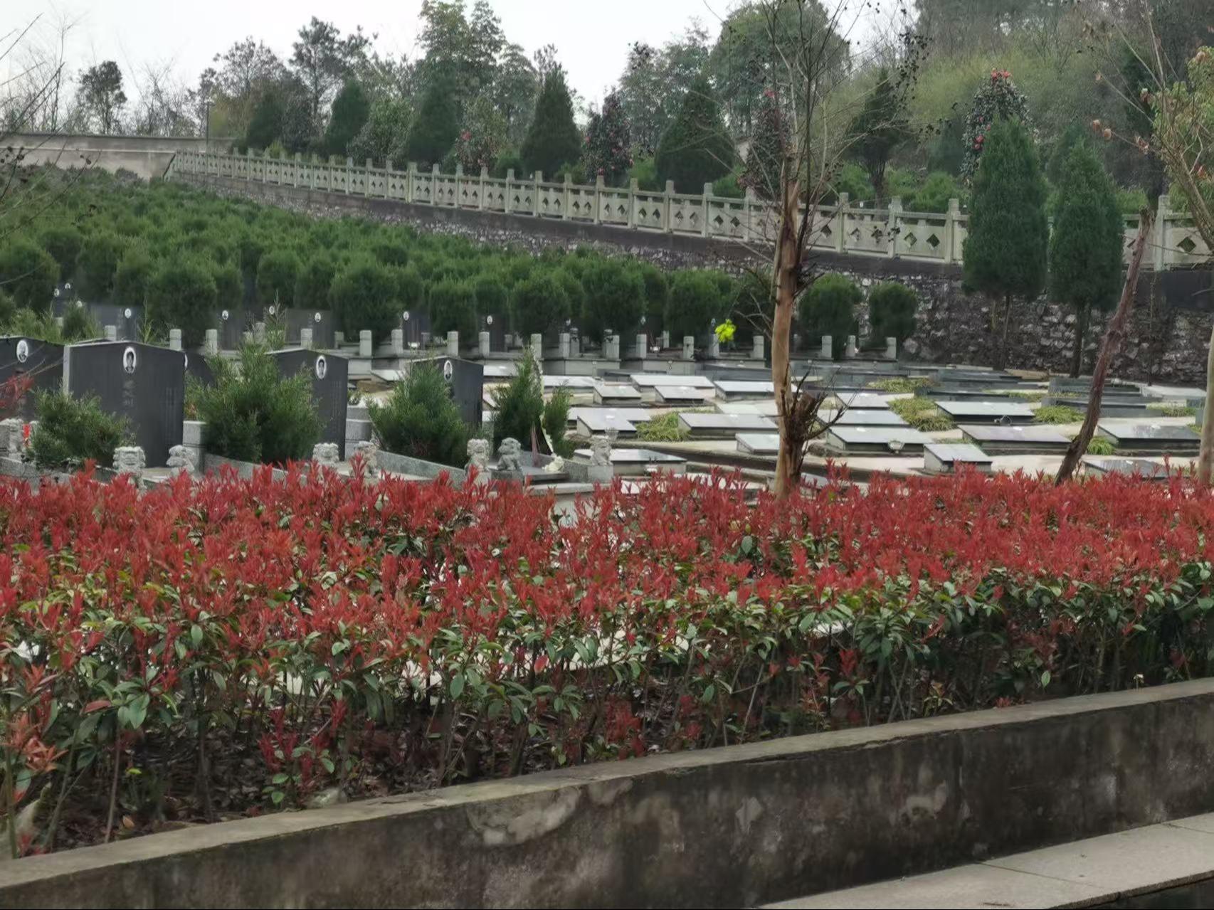 泾县回龙湾公墓园区图片