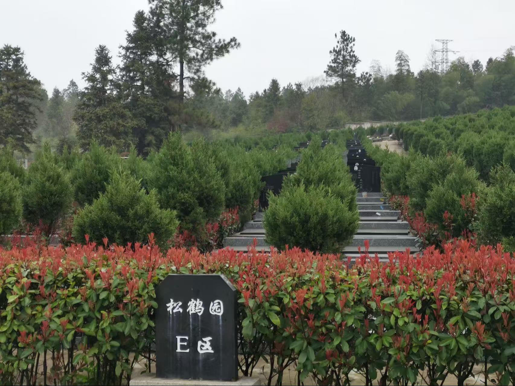 泾县回龙湾公墓园区图片
