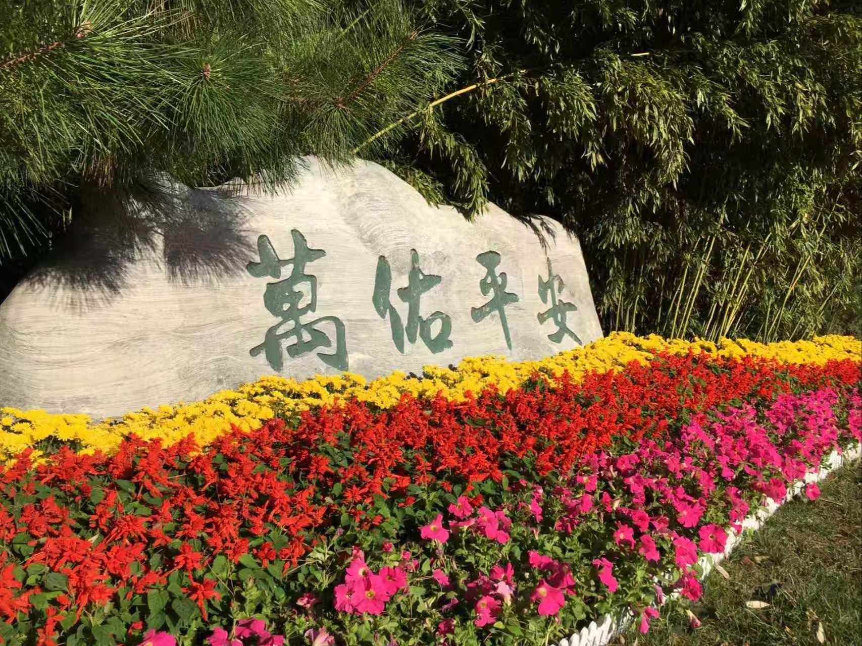 万安公墓园区图片