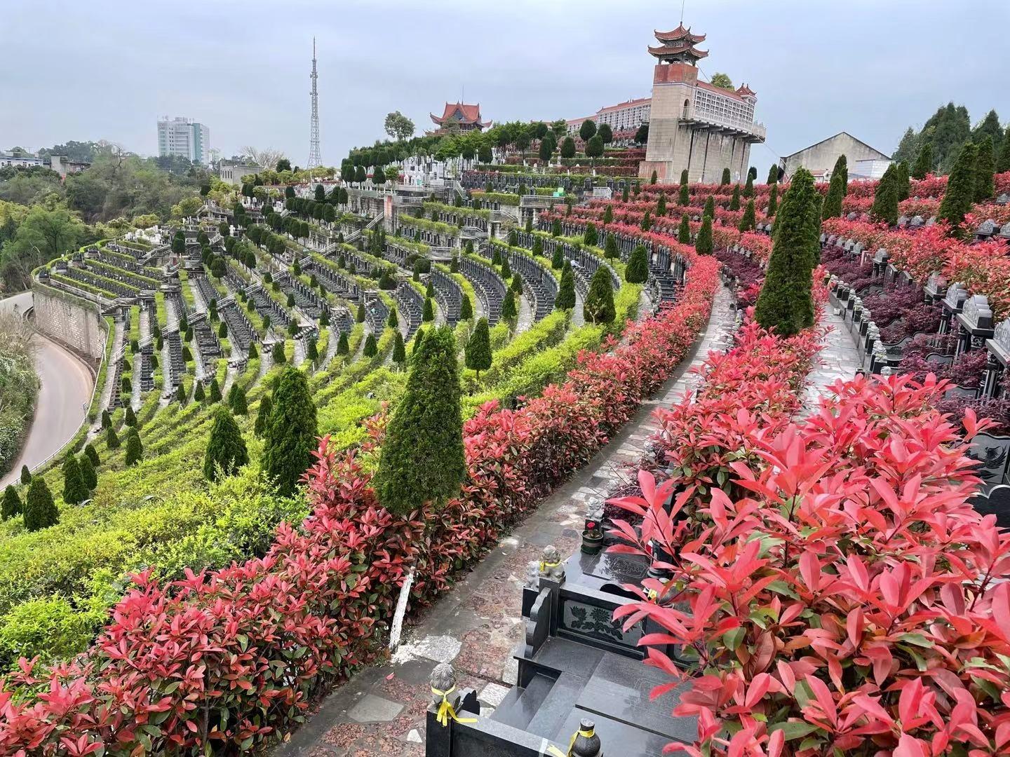 资阳市雁江区莲花公墓园区图片