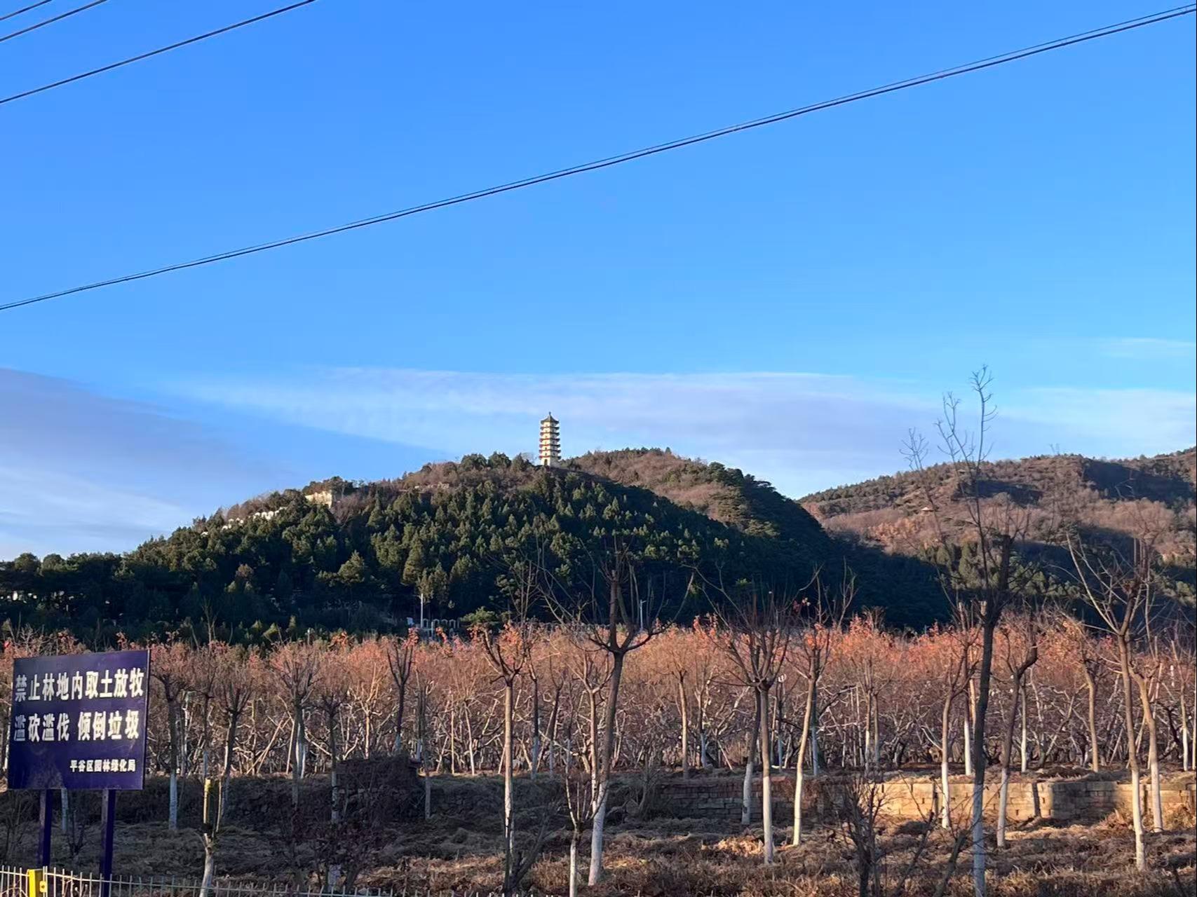 归山陵园园区图片