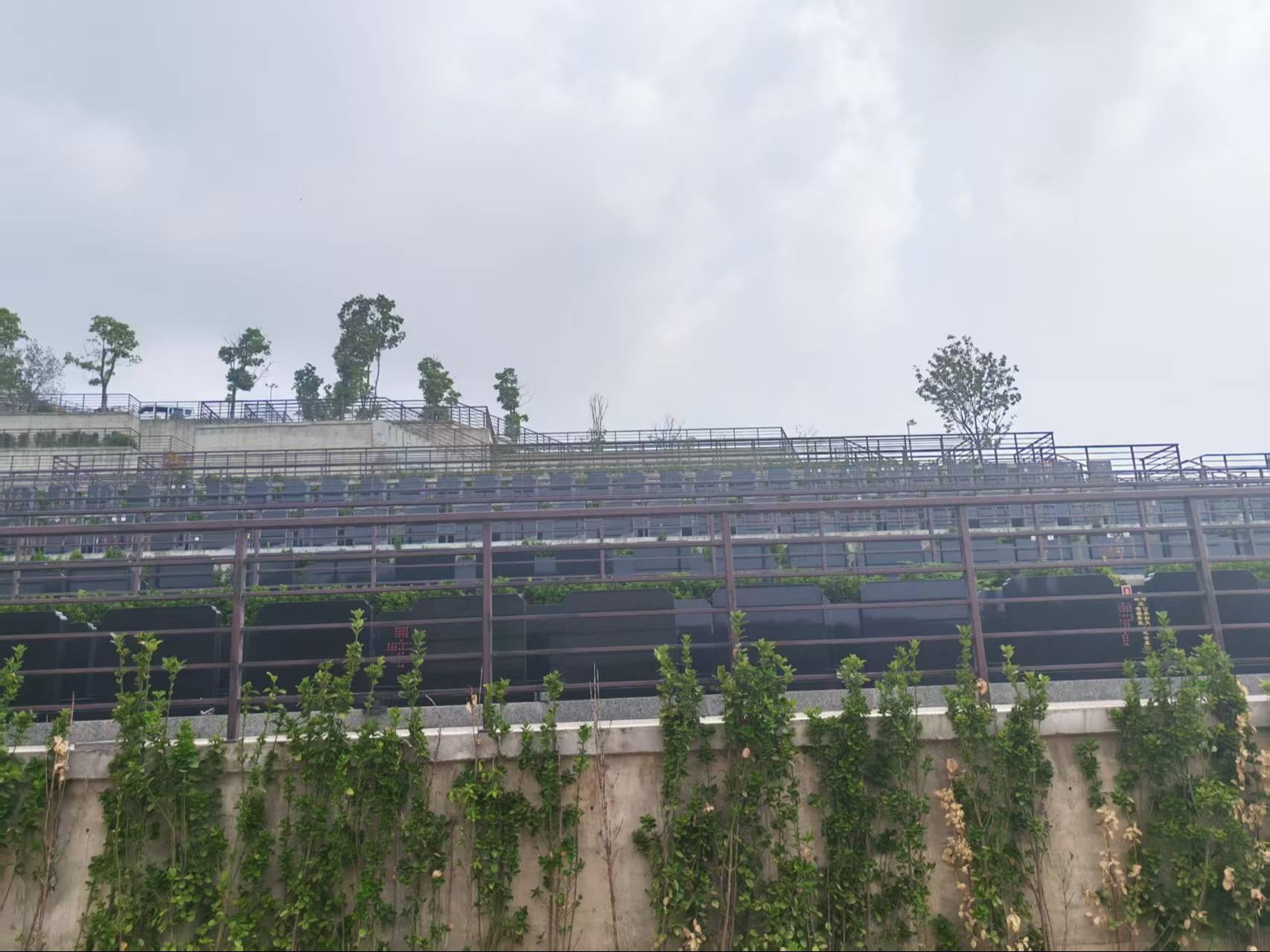 铜陵市枞阳县宝寿陵园园区图片