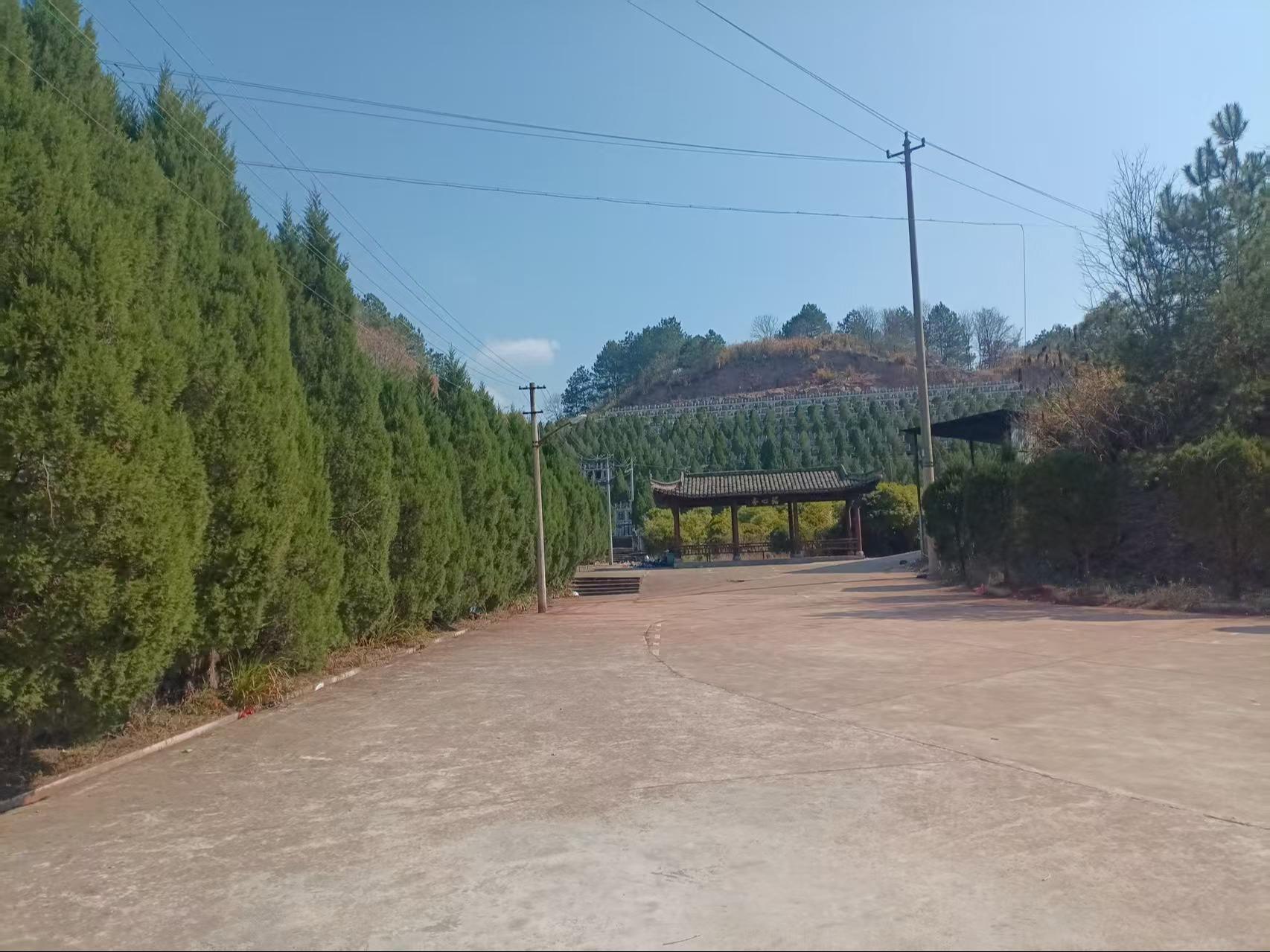 祁门县城东陵园有限公司园区图片