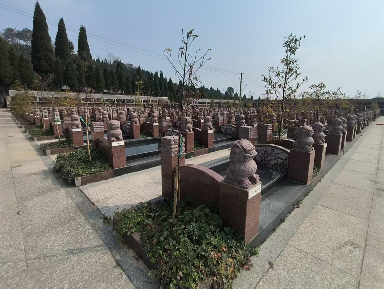 常州市凤凰山华侨公墓五龙墓区园区图片