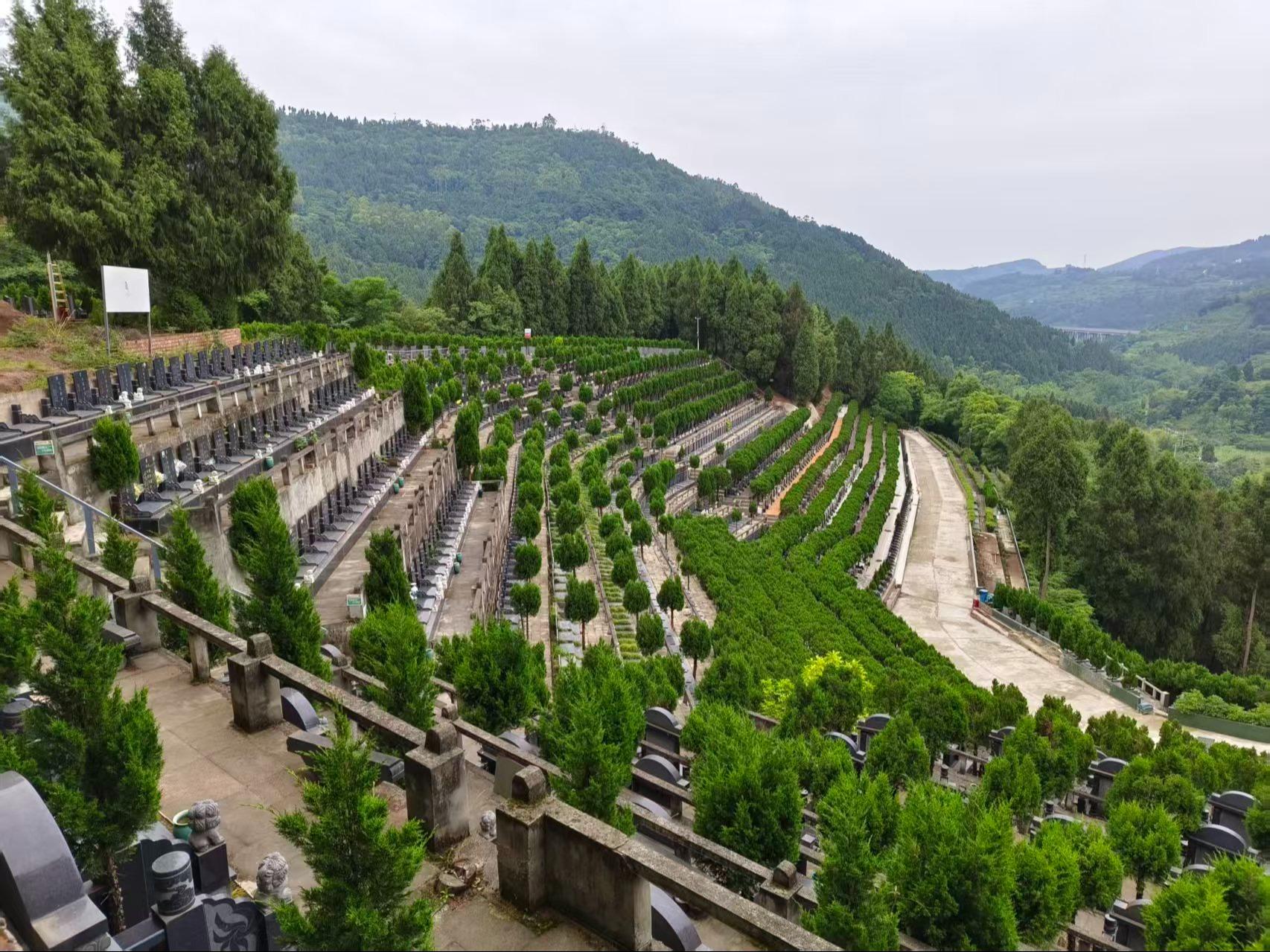 成都市龙泉驿区金龙山公墓园区图片