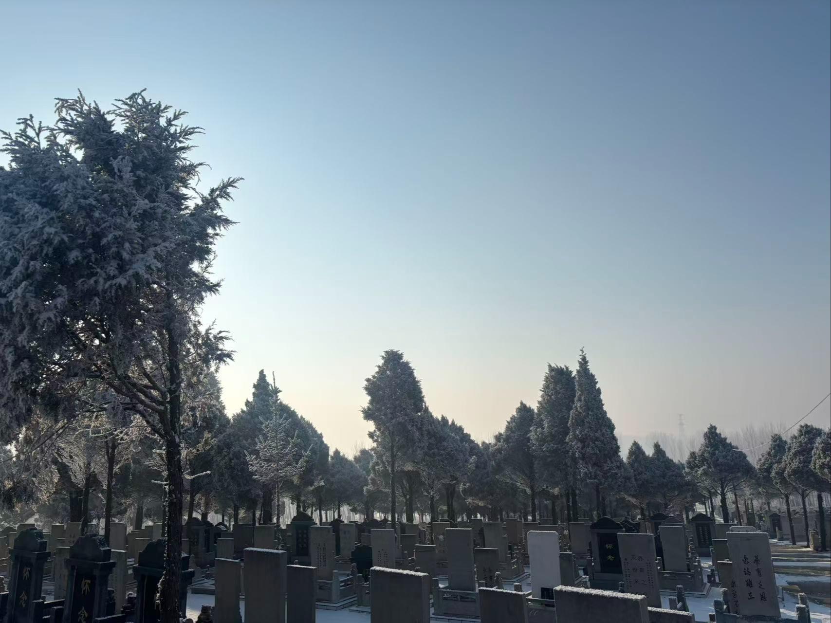 灯塔大地福园园区图片
