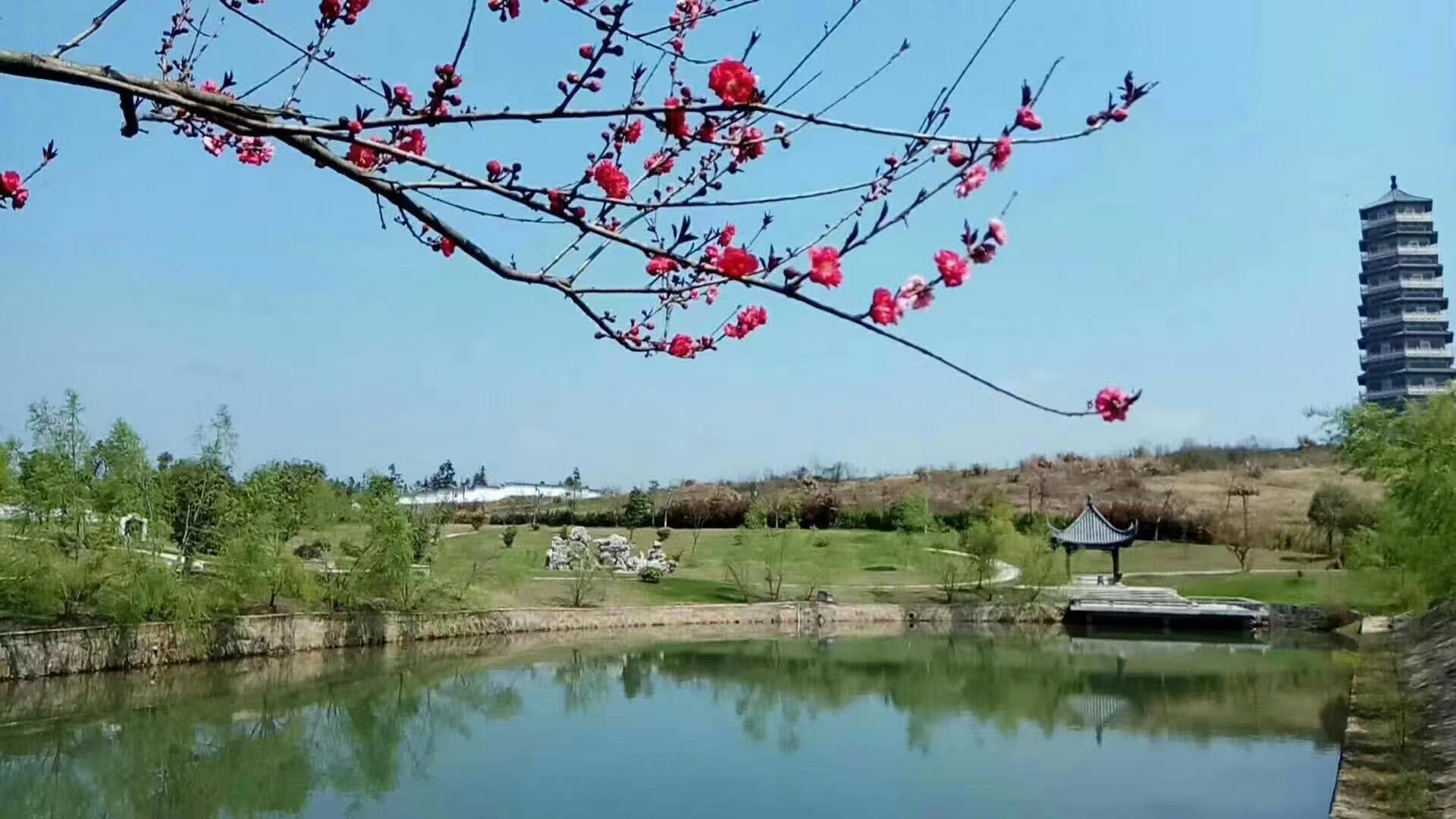 六安市石宝山陵园开发有限公司园区图片