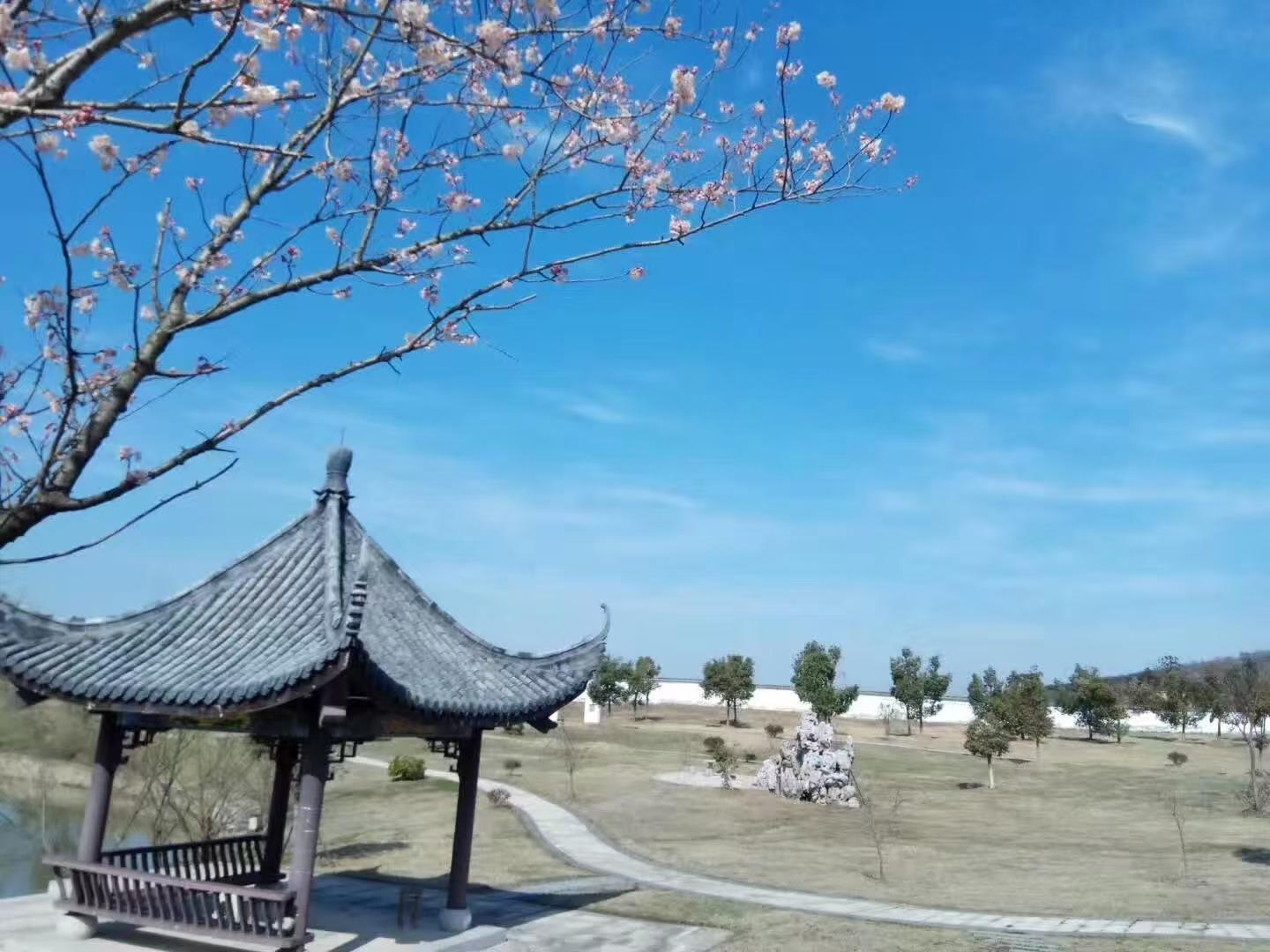 六安市石宝山陵园开发有限公司园区图片