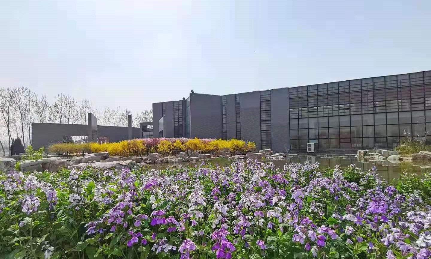 东华林公墓园区图片