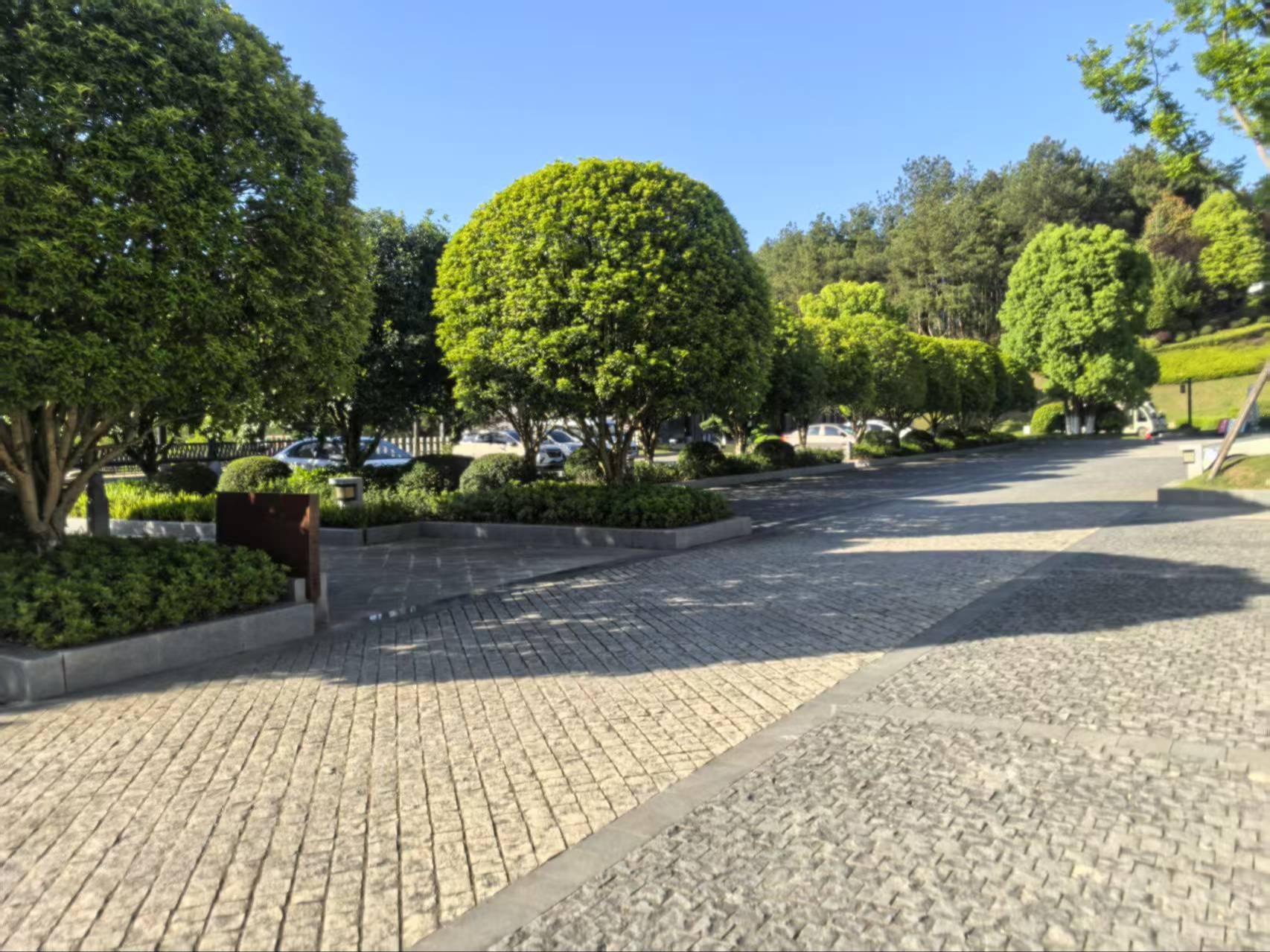 故丘公墓园区图片