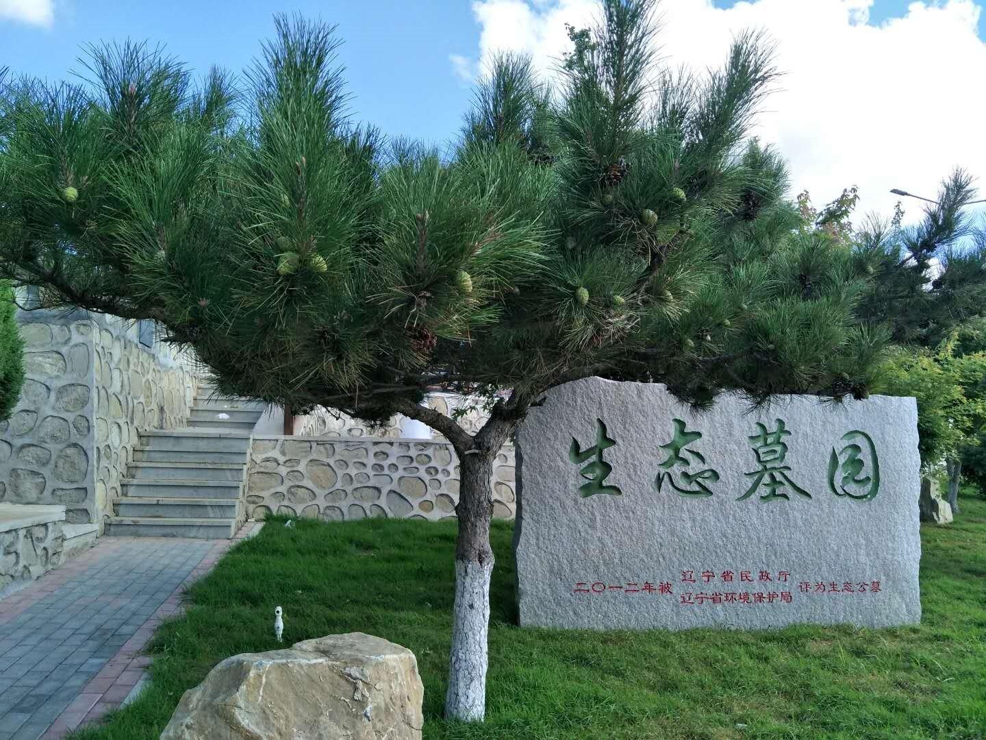 阜新市北山公墓
