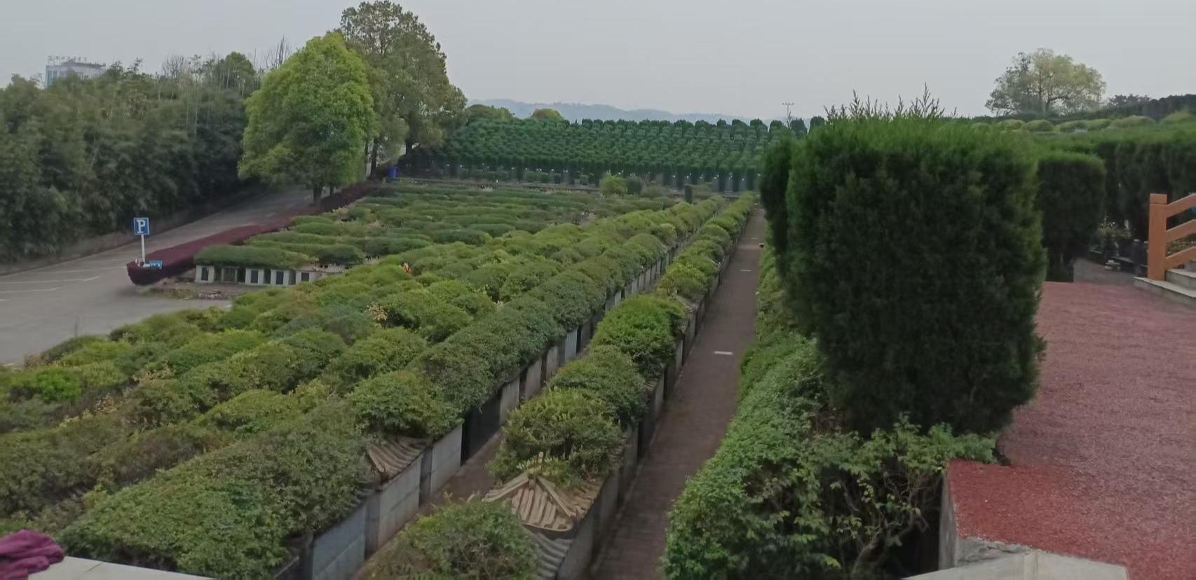 宜宾市叙州公子山公墓园区图片