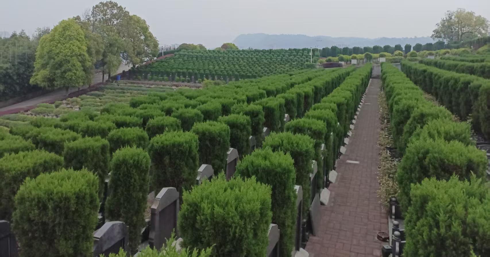宜宾市叙州公子山公墓园区图片