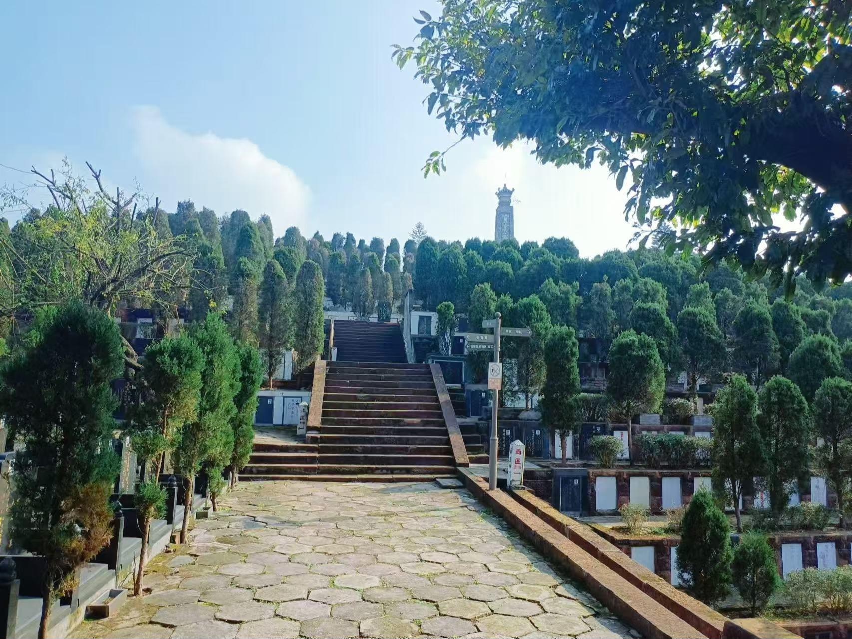 翠屏区双龙公墓（宗场墓区）园区图片