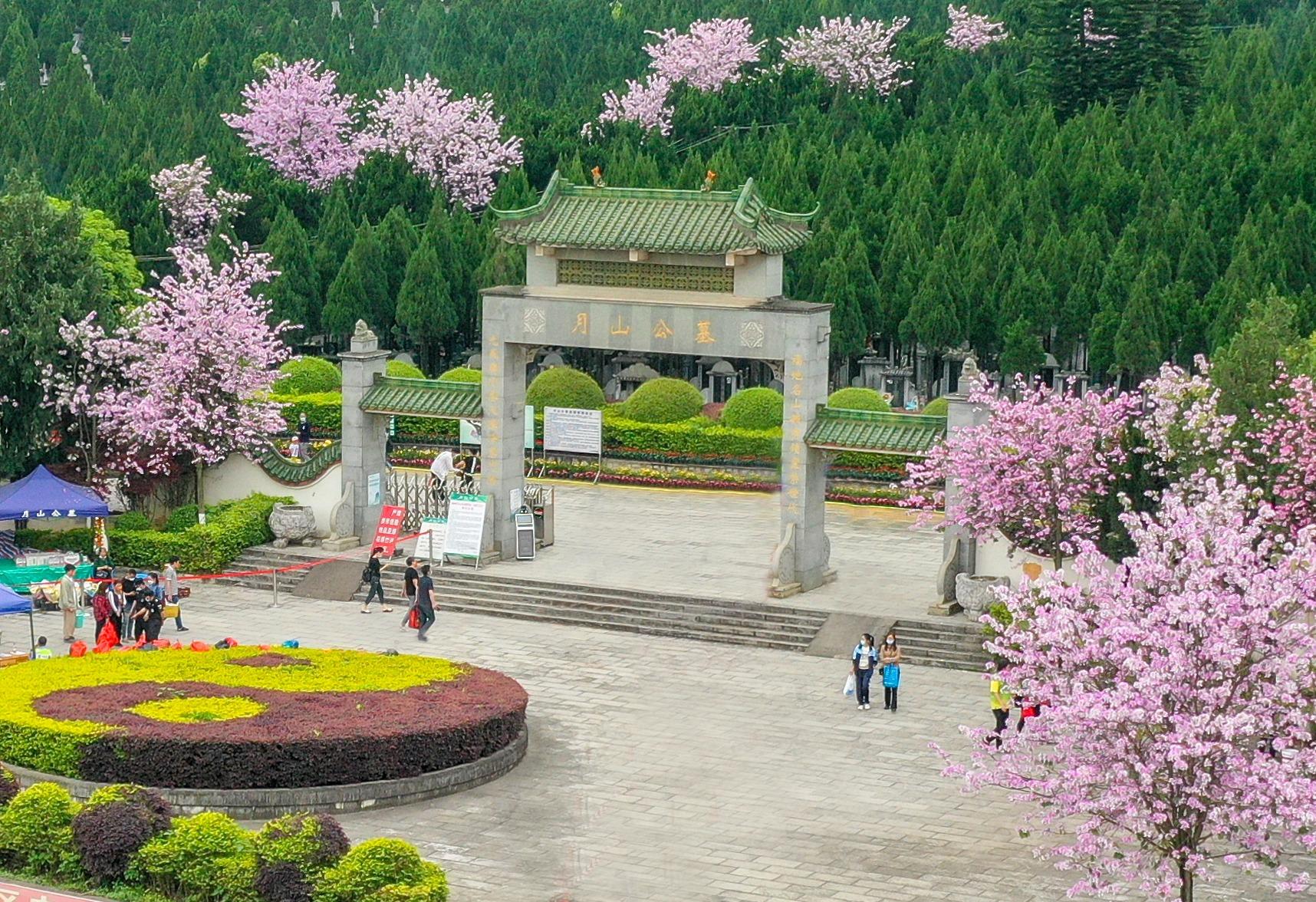 柳州农工商有限责任公司月山公墓园区图片
