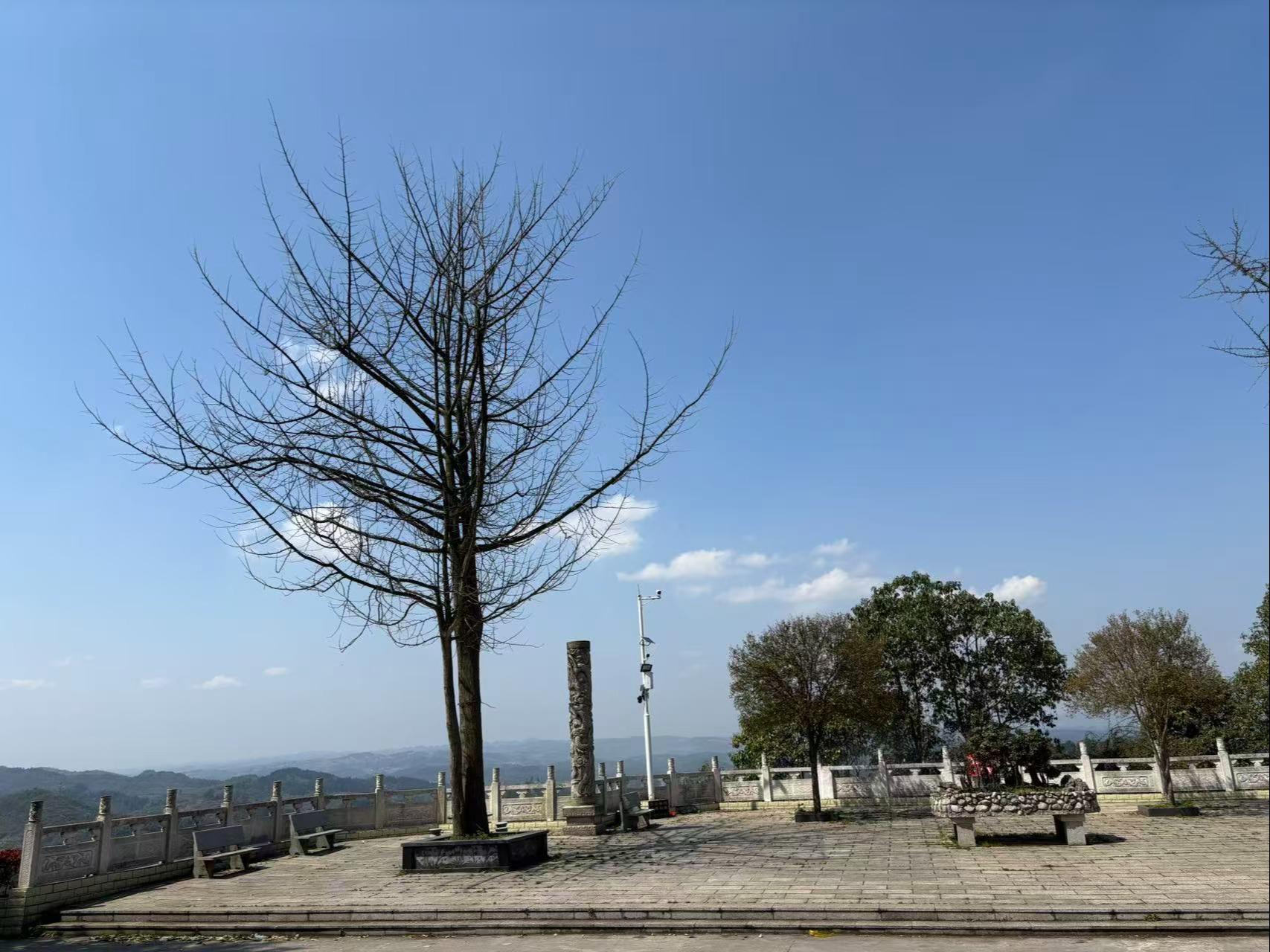 遵义碧天园狮子山艺术陵园园区图片