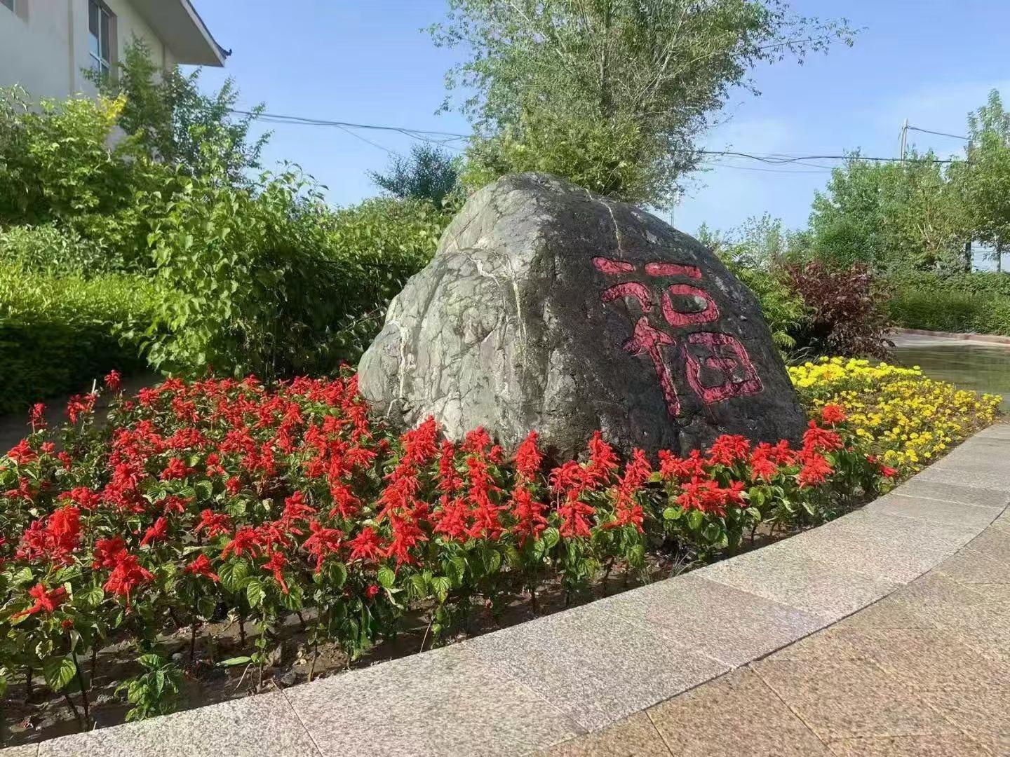 新疆福寿陵园园区图片