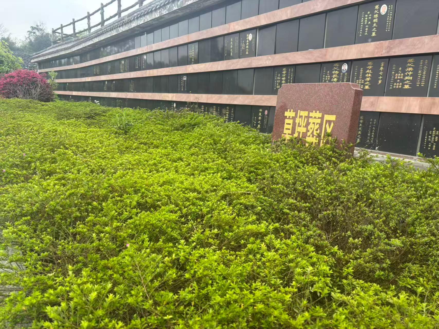 乐山市沙湾区人民公墓(柏香坡墓区)园区图片