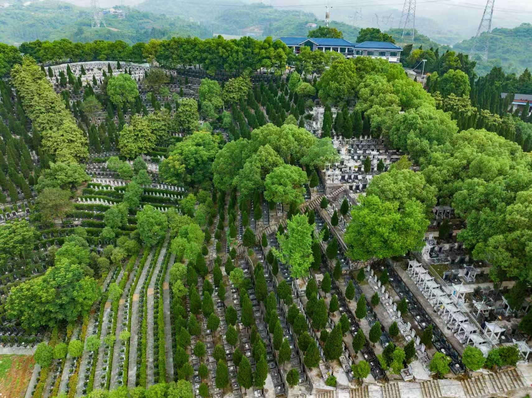 宜昌市点军区仙园公墓服务有限责任公司园区图片