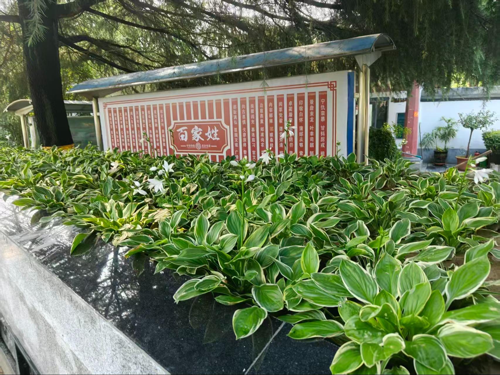 郑州青龙岗纪念园有限公司园区图片